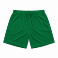 MESH SHORTS GREEN