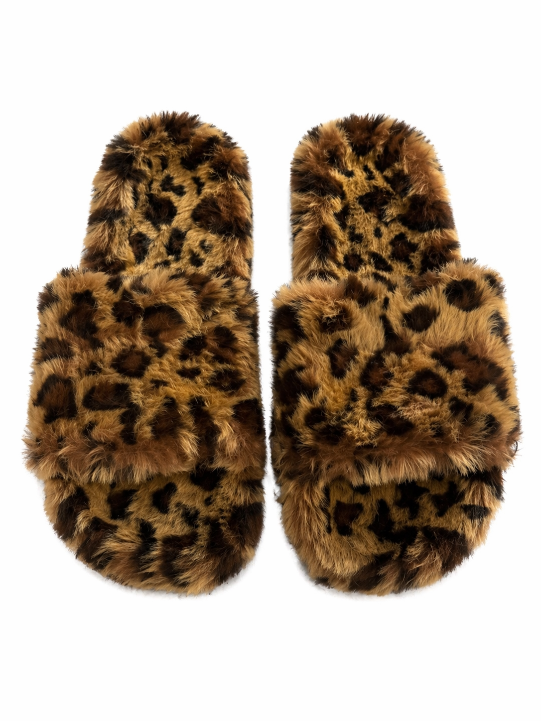 SLIDES LEOPARD